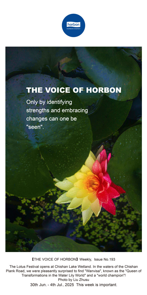 ֮׼ơӵתŻ(ܵ193ڣ--2025.6Ӣĵ.jpg