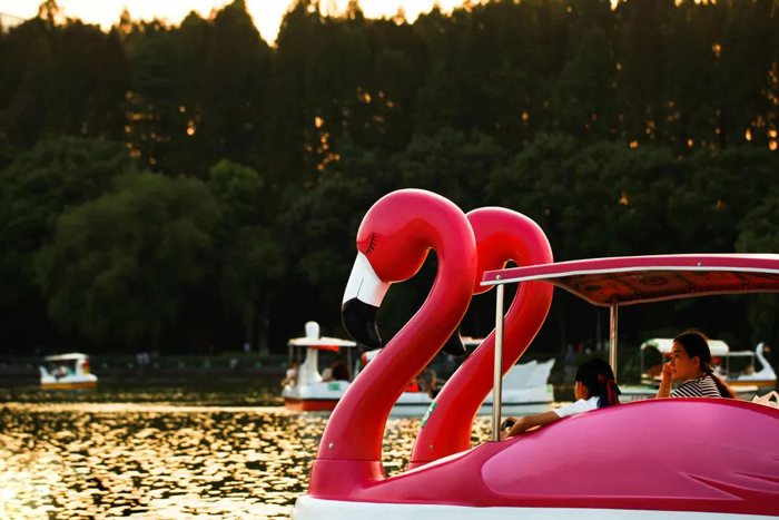 1650782989930408C1Jm.jpg 29.jpg