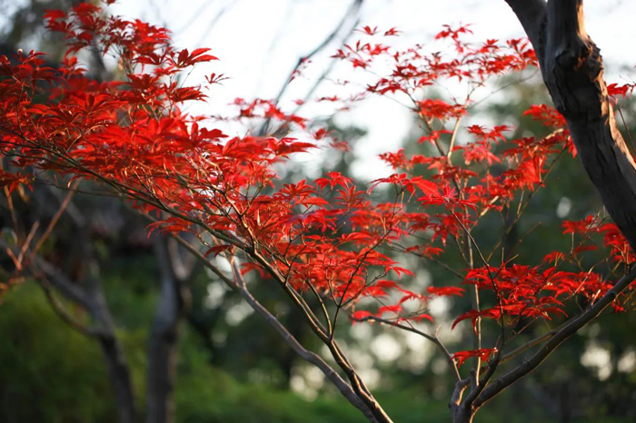 1650783033105909zoE7.jpg 30.jpg