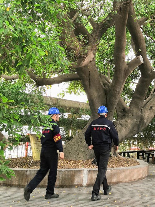 1653544714987084Iw28.jpg 32.jpg