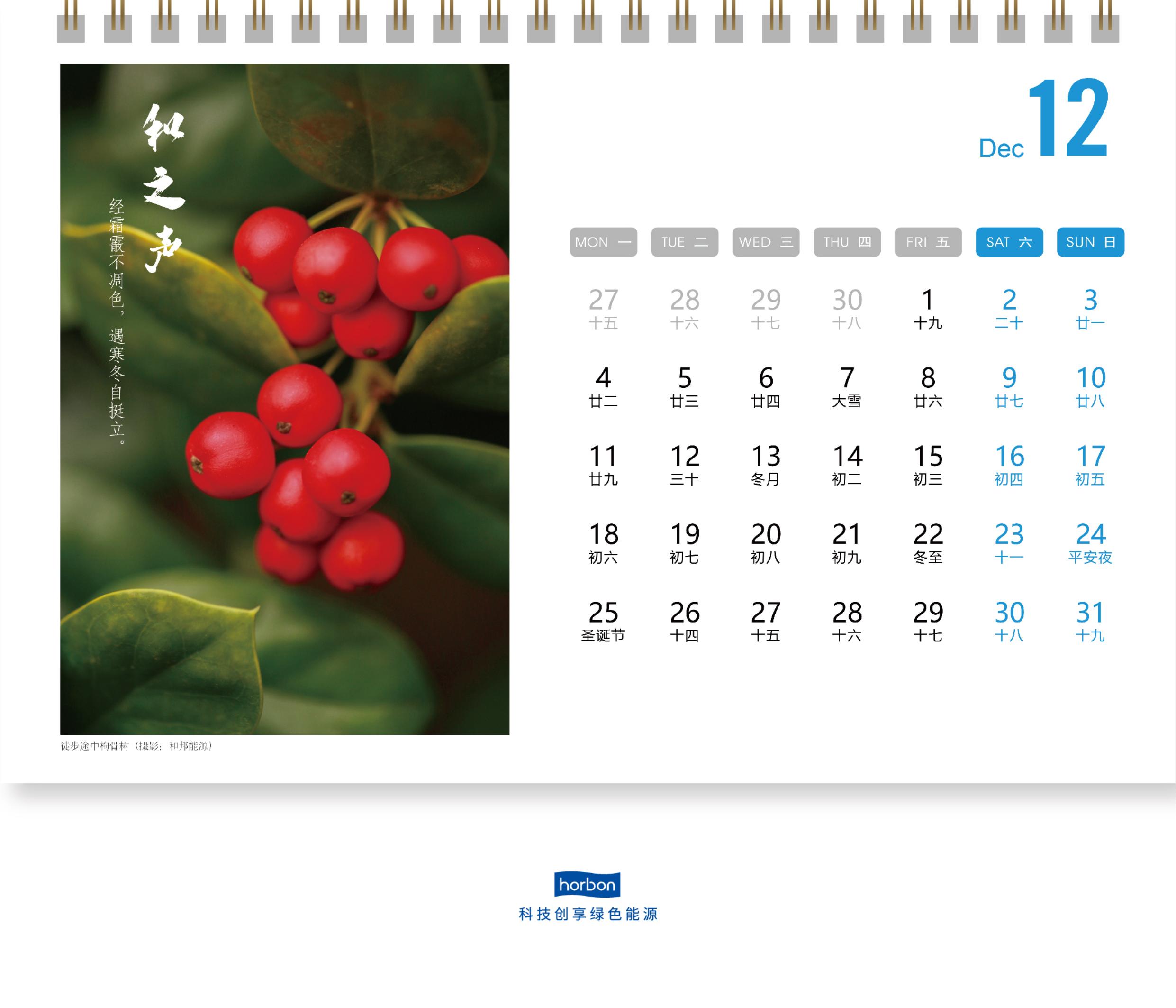 1672478811273228W3FF.jpg 1672478811273228W3FF.jpg